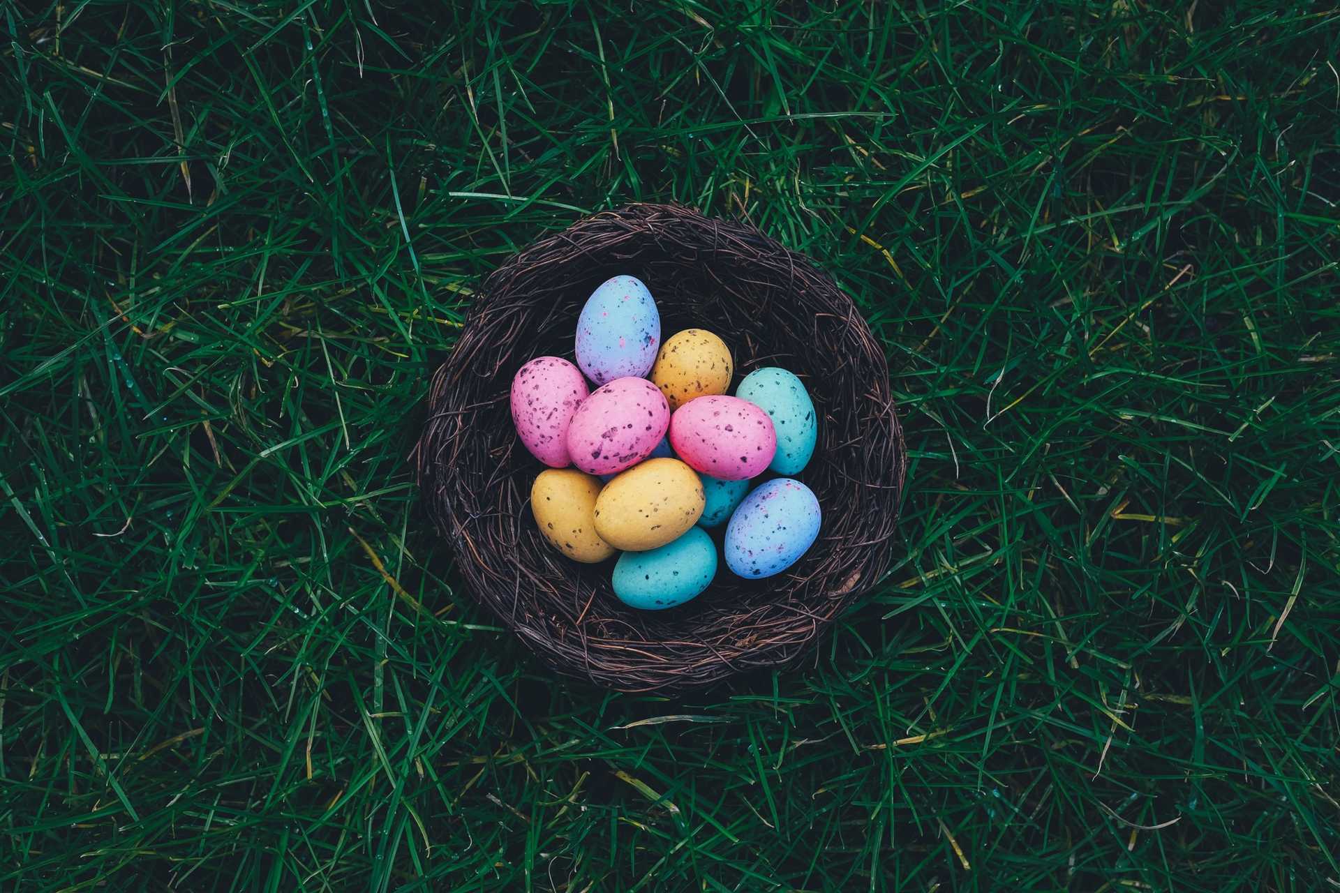 Easter Eggs in Nest on Grass