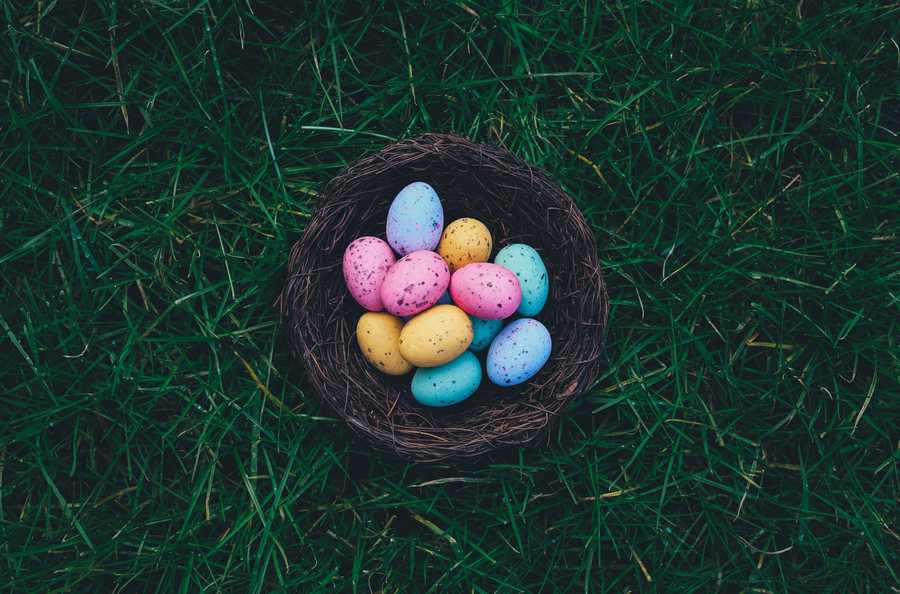 Easter Eggs in Nest on Grass